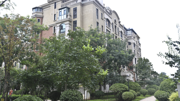 国际城四期外景图