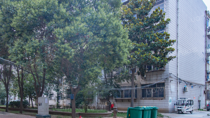 张青岗矿家属院外景图