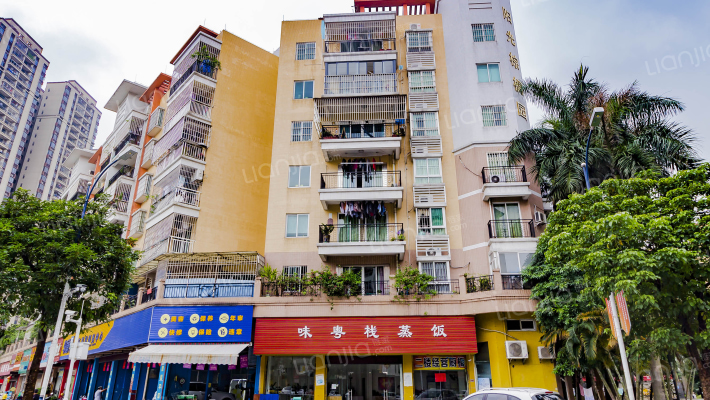 阳光棕榈园外景图