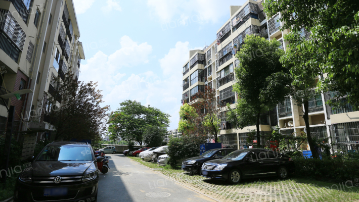 瑞泰和园A区外景图