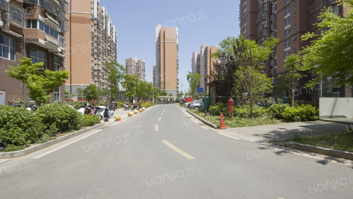 盛江花苑蔷薇园外景图