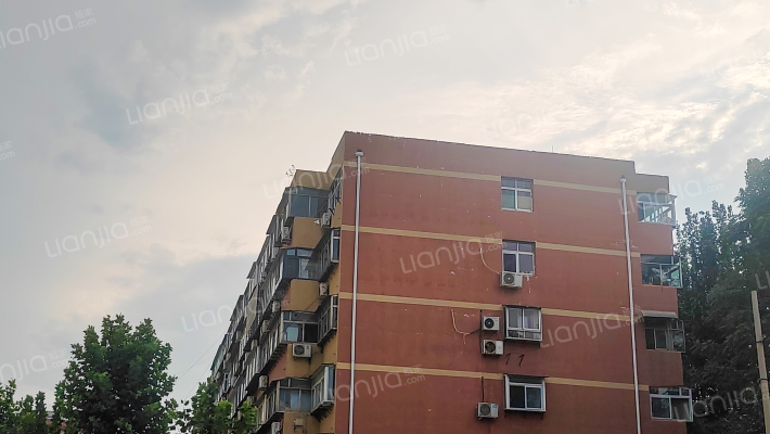 槐村街25号外景图