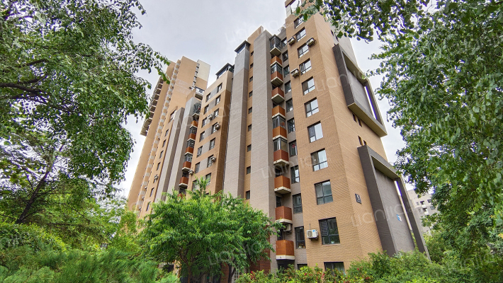 新湖明珠城外景图