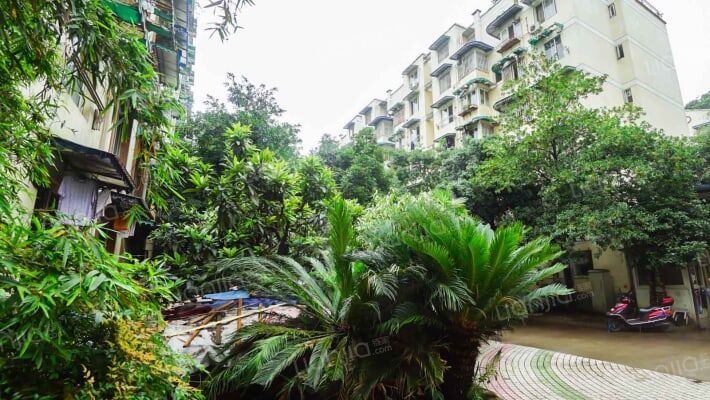 槐树苑二期宏苑外景图