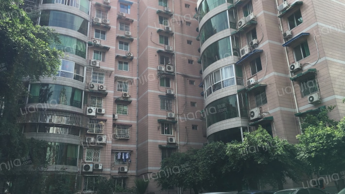 棕南正街6号外景图