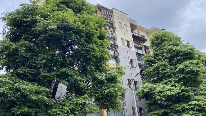 江安河西路上段284号外景图