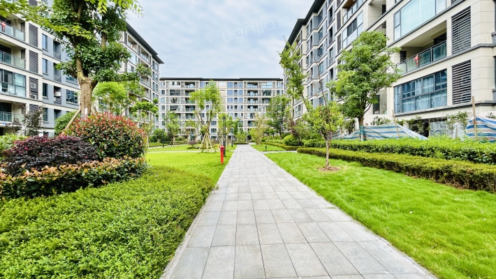 晓风江南外景图