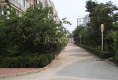 河畔麗景戶型圖實景圖