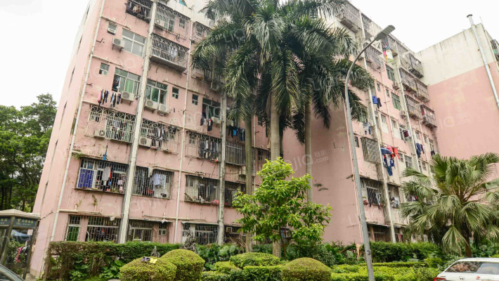 高发单身宿舍外景图