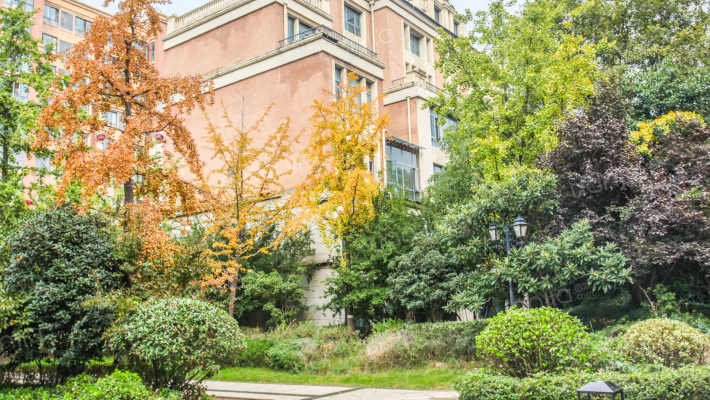 裕鸿丽宫外景图