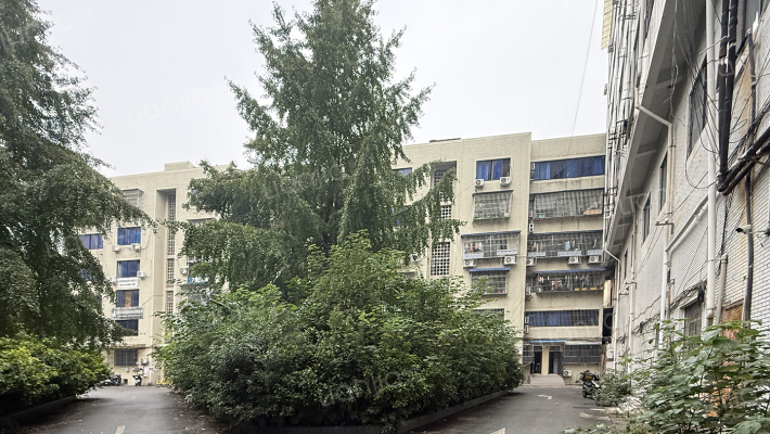 晋阳路41号外景图