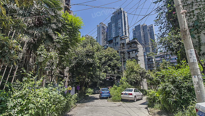 东光街11号外景图