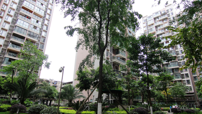 九峰国际外景图