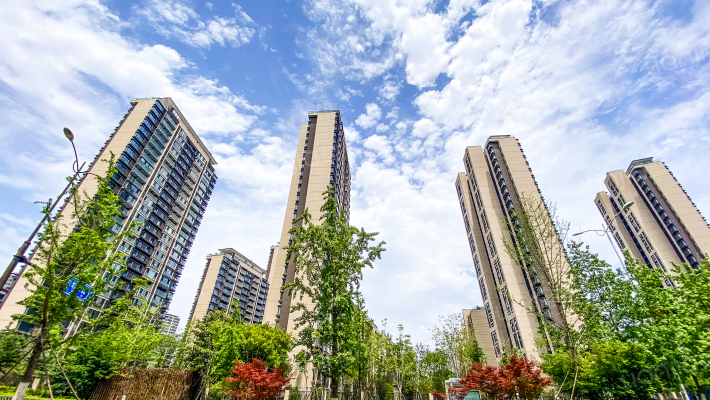 大华公园城市外景图