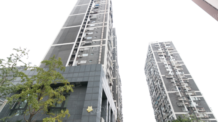 乐信爱琴屿外景图