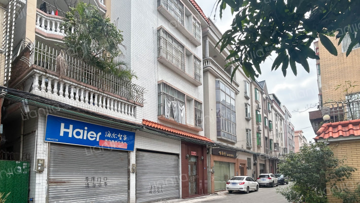 伦教永丰单家外景图