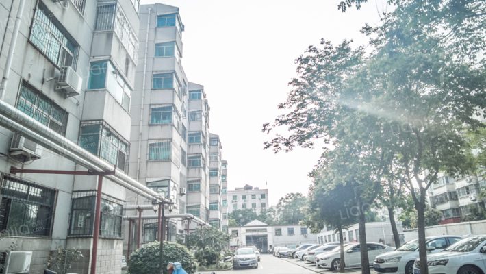 河南拍卖行家属院外景图