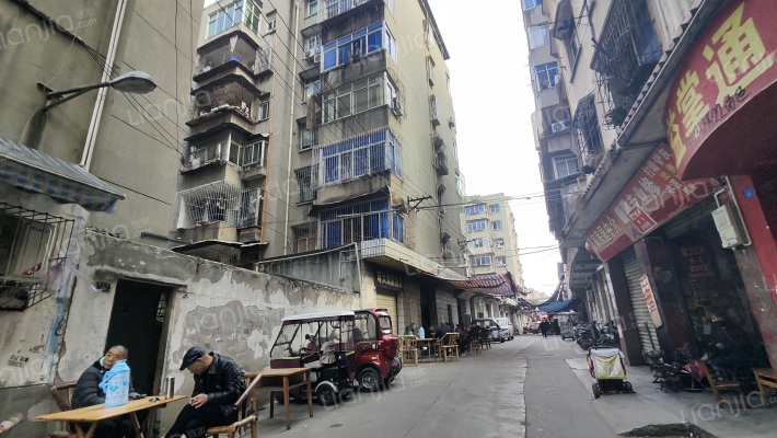 橘南逸苑外景图