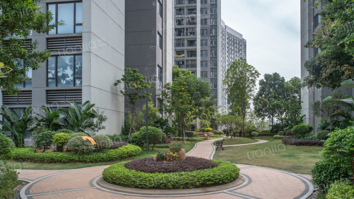 合景天峻外景图