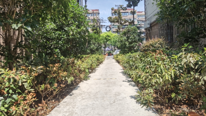 白玉新村外景图