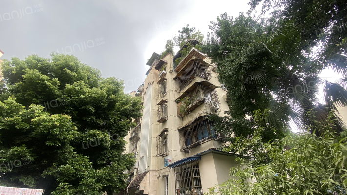 棕竹街3号外景图