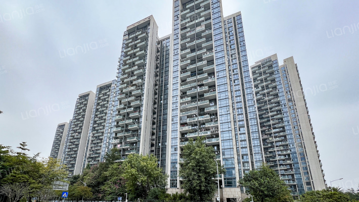 莱蒙水榭春天二期外景图