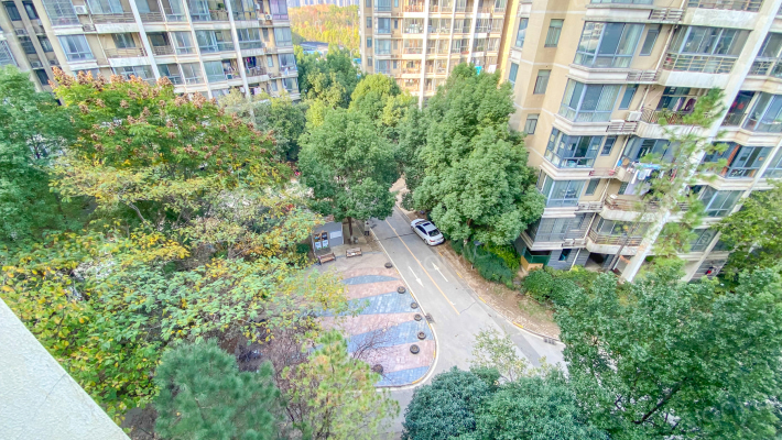 南艳瑞景外景图