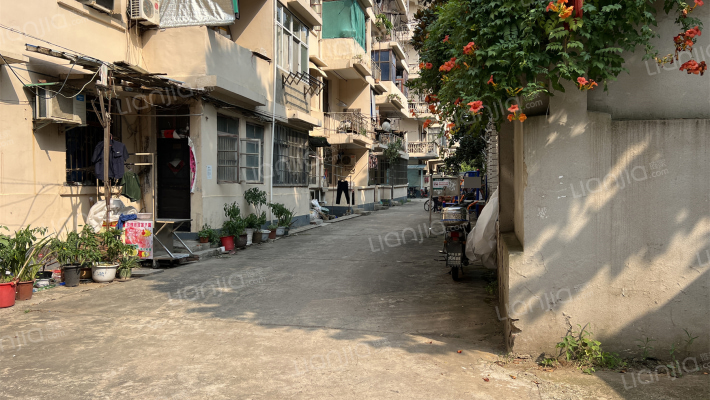 堤后街特1号外景图