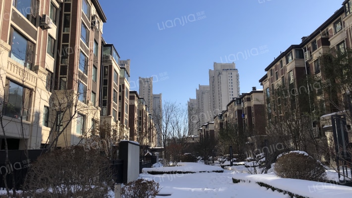 远洋大河宸章外景图