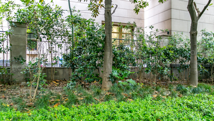 香山丽舍(别墅)外景图