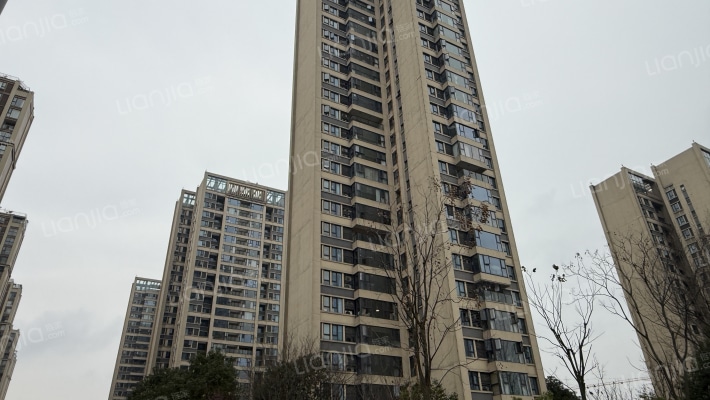 城投置地楠悦外景图