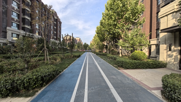 金地艺墅家嘉泽苑外景图