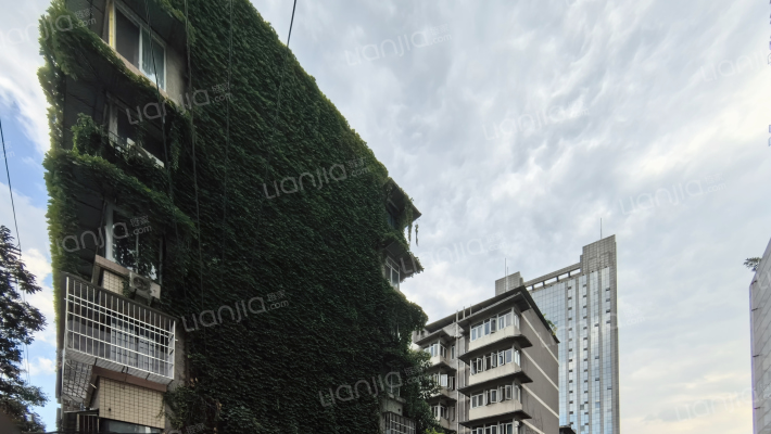 王家坝街21号外景图