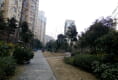 汉口花园怡菊院户型图实景图