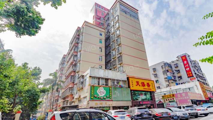 八一花园外景图