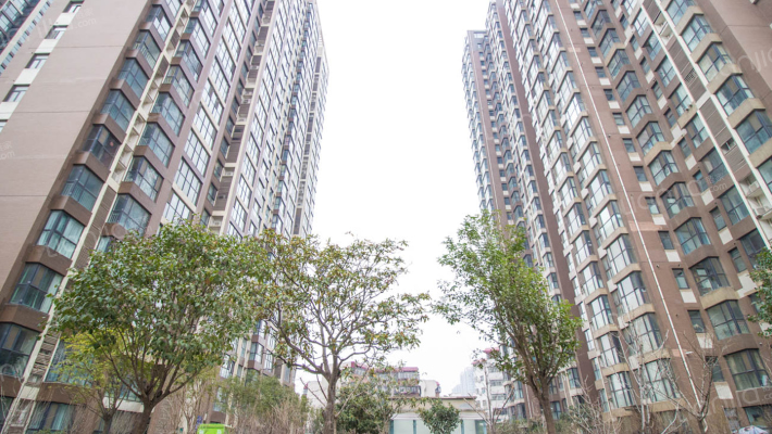 新蒲花园1号院外景图