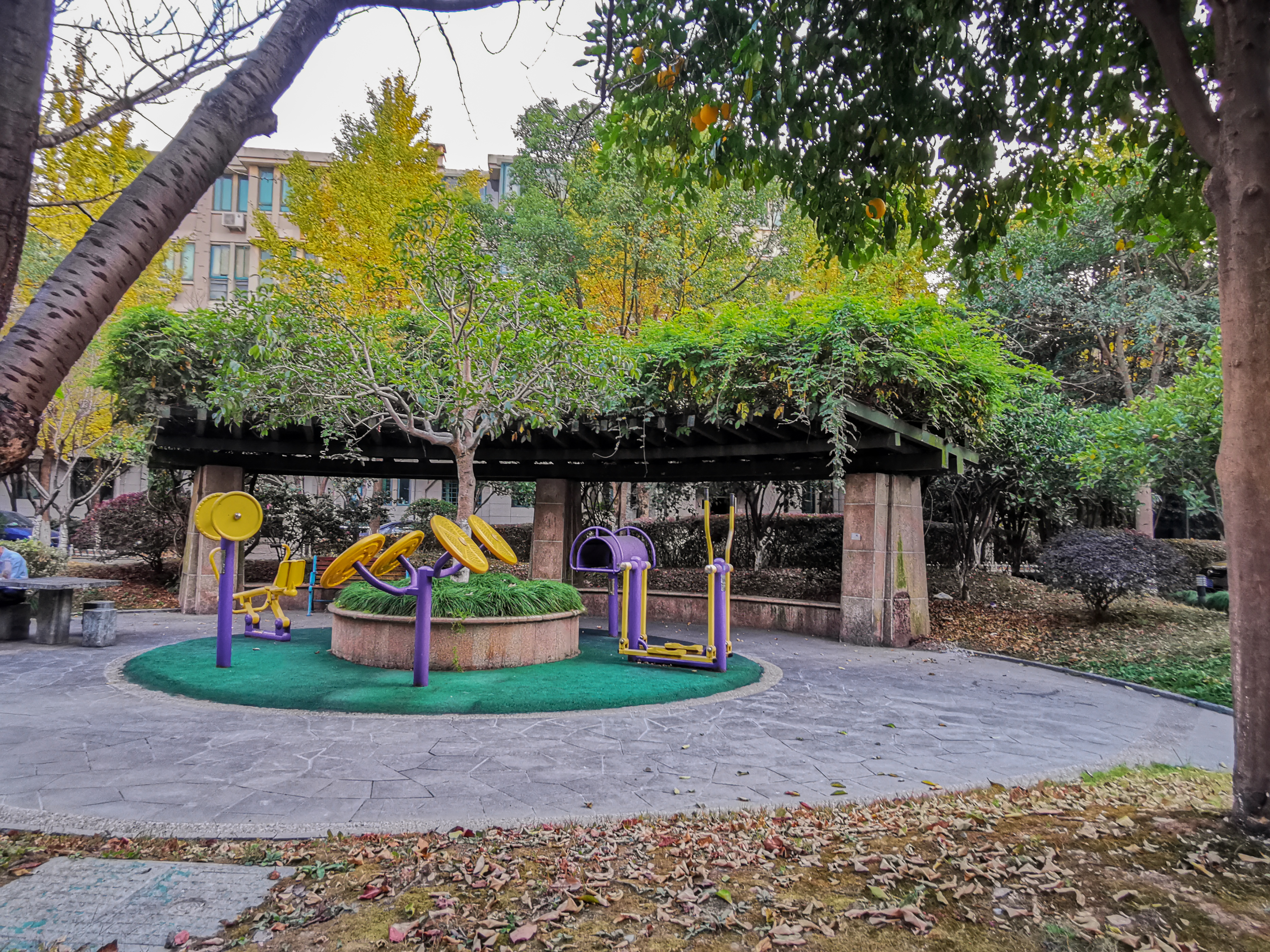 西溪玫瑰园小区实景 5