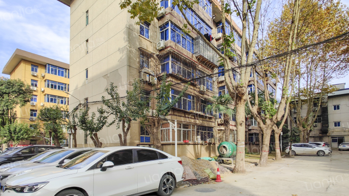 金花北路药材公司家属院外景图