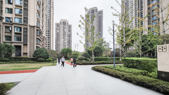 观承承澜外景图