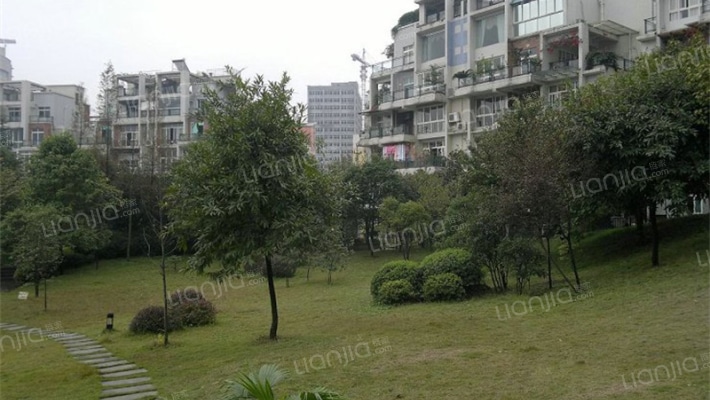 江岸丽水外景图