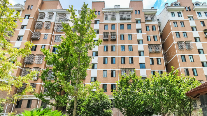 樟韵人家外景图