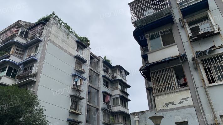 仁和南街36号外景图