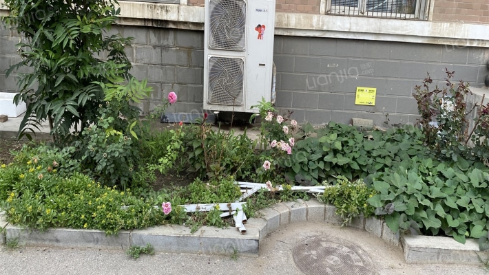 虹桥花园外景图