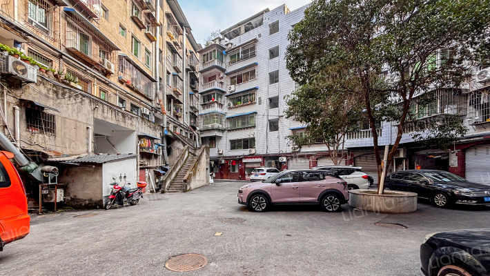 文星路279号外景图