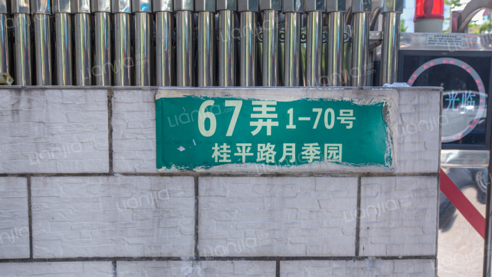 月季园(徐汇)外景图