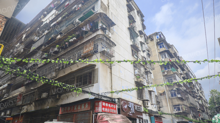 石头街81号外景图