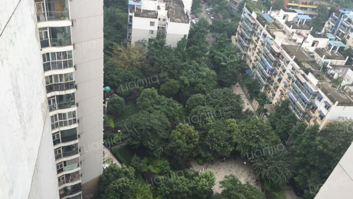 东晶丽苑外景图