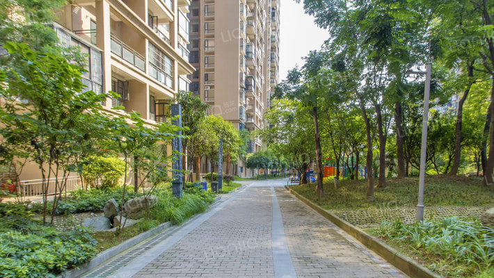 天府香城印象外景图