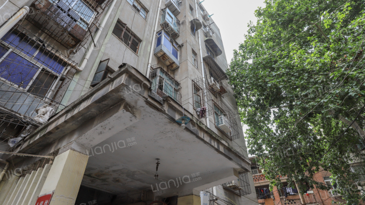 建新北街4号外景图