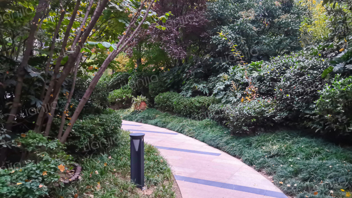 五月花城外景图